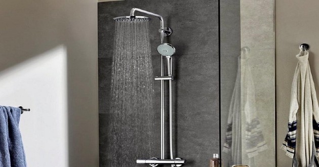 Sen cây tắm đứng có tới 2 đầu phun nước.