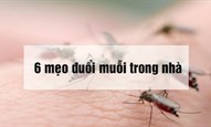 15 cách đuổi muỗi hiệu quả, an toàn, dễ làm, tiết kiệm