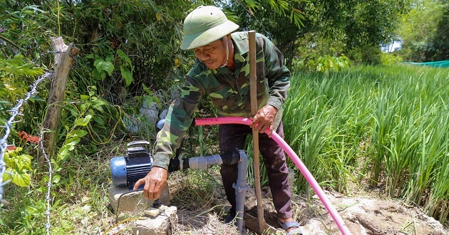 Máy bơm nước nông nghiệp Lepono loại nào tốt?