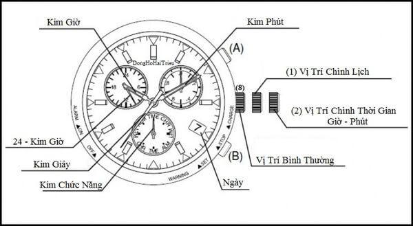 Hướng dẫn sử dụng đồng hồ Citizen Eco Drive cơ bản