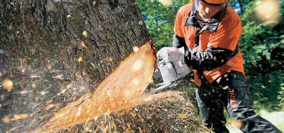 Nên chọn máy cưa xích chạy xăng hay chạy điện?