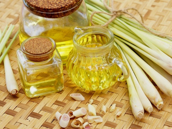Mùi tinh dầu nào dễ chịu nhất?