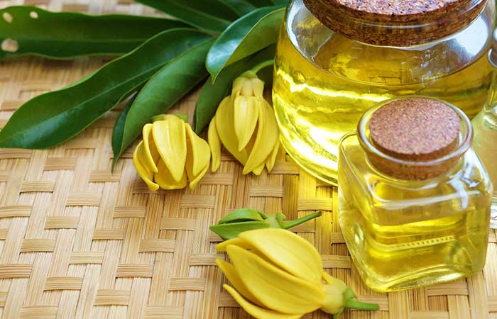 Mùi thơm tinh dầu nào dễ chịu nhất?