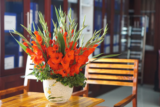 Cách cắm hoa lay ơn để trên bàn thờ đẹp và tươi lâu - META.vn