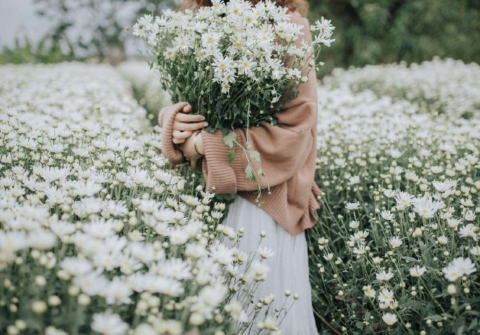 Một bó hoa cúc họa mi tuyệt đẹp sẽ khơi gợi trí tưởng tượng của bạn về mùa xuân tươi đẹp với sắc trắng tinh khôi của cúc họa mi. Bạn sẽ không muốn bỏ lỡ cơ hội đặc biệt này để ngắm nhìn những bông hoa tuyệt đẹp này.