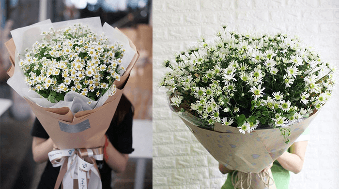 Bạn muốn biết cách bó hoa cúc họa mi đẹp một cách đơn giản và tinh tế? Hãy xem hình ảnh này để tìm hiểu những cách bó hoa độc đáo và ấn tượng, giúp bạn tạo nên một bó hoa cúc họa mi trắng đẹp lung linh và tinh tế nhất.