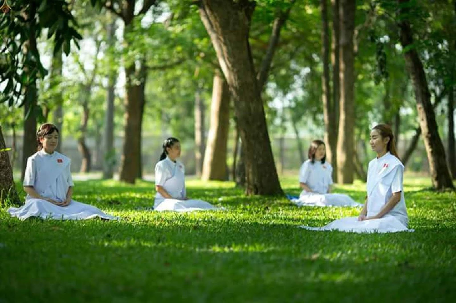 Thiền Vipassana là gì? Thiền Vipassana có tác dụng gì cho sức khỏe?
