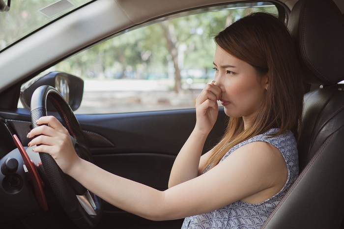 Cách khử mùi xe ô tô mới hiệu quả và dễ thực hiện Cách khử mùi xe ô tô mới hiệu quả và dễ thực hiện