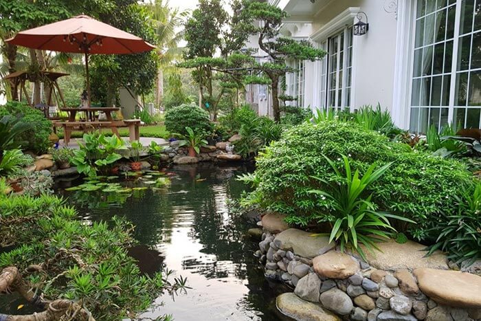 Hồ cá coi sân vườn đẹp