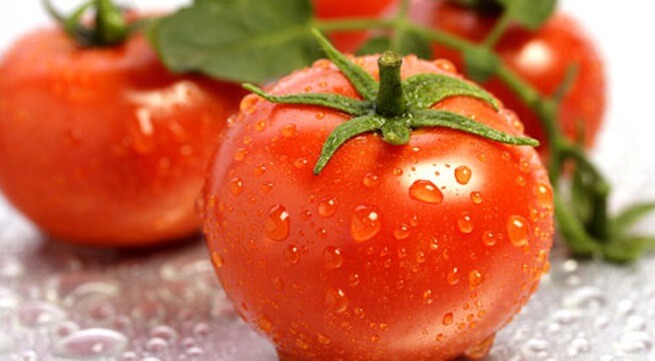 Chọn cà chua kỹ lưỡng trước khi bảo quản