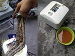 Hướng dẫn vệ sinh, bảo dưỡng, cách khắc phục lỗi bình nóng lạnh Ariston