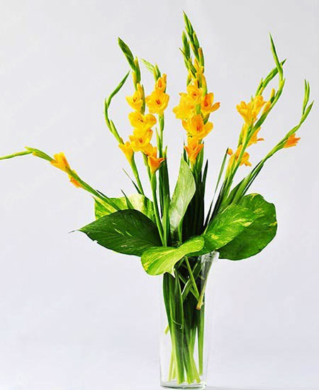Cách Cắm Hoa Lay Ơn 10 Bông Ngày Tết Đẹp Và Tươi Lâu - Meta.Vn