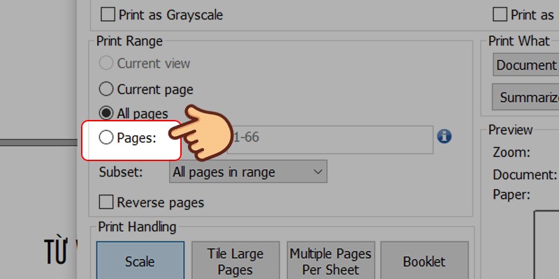 Cách in 2 trang chẵn lẻ trong PDF