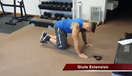 Cách tập mông với dây kháng lực