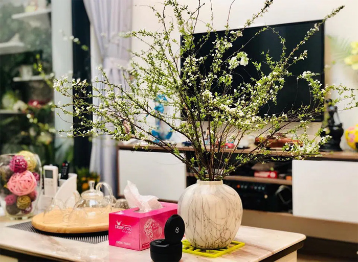 Cách cắm hoa tuyết mai