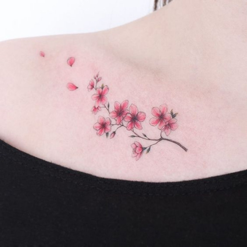 Hình xăm đẹp ở vai trước vai sau cho nữ  Hoa Mini