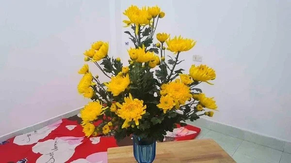 Cách cắm hoa cúc vàng để bàn thờ ngày Tết đẹp, đơn giản - META.vn