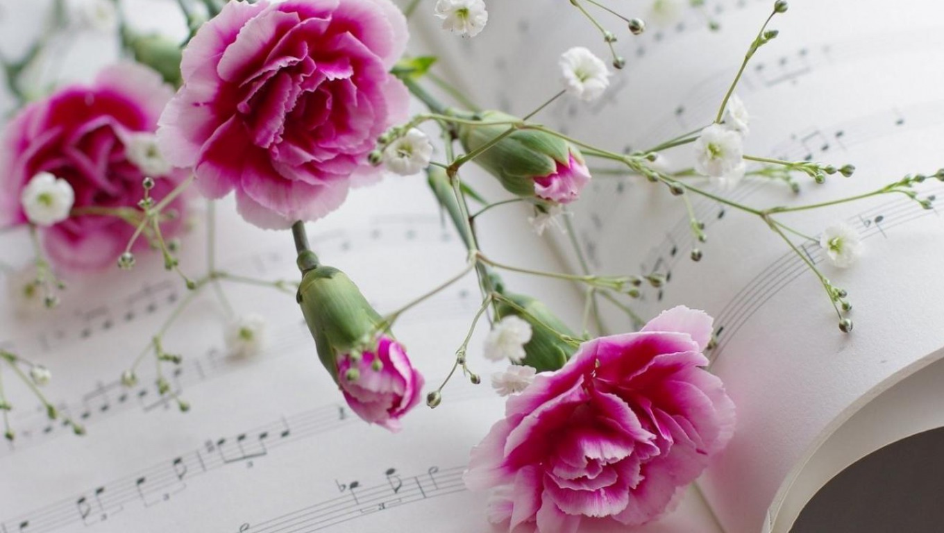 Hoa cẩm chướng, cách cắm hoa phăng đẹp: Cách cắm hoa đẹp và tinh tế luôn là một kết hợp giữa phong cách và sự tài hoa của người sáng tạo. Hãy đón xem những hình ảnh đẹp về cách cắm hoa cẩm chướng và hoa phăng để có thêm ý tưởng và kiến thức mới.