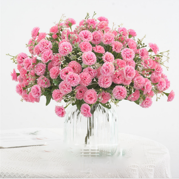 Hoa cẩm chướng: Hoa cẩm chướng là loài hoa mang lại sự đẹp và quyến rũ với nét đồng quê, bình dị. Để tận hưởng vẻ đẹp của nó, hãy chiêm ngưỡng hình ảnh hoa cẩm chướng đầy màu sắc và ngọt ngào này.