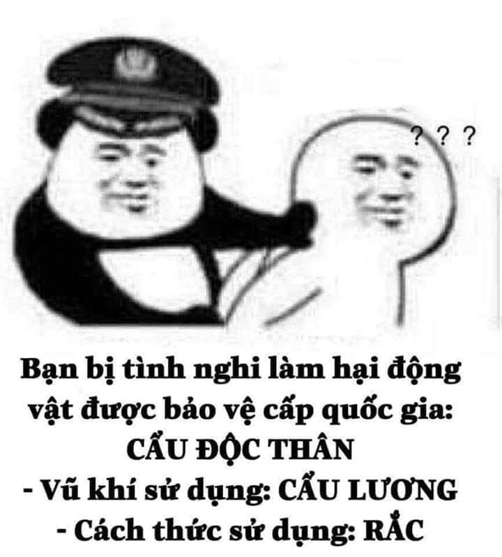 Meme cẩu lương Trần Tình Lệnh