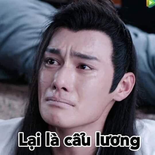 Ảnh chế meme cẩu lương hài hước