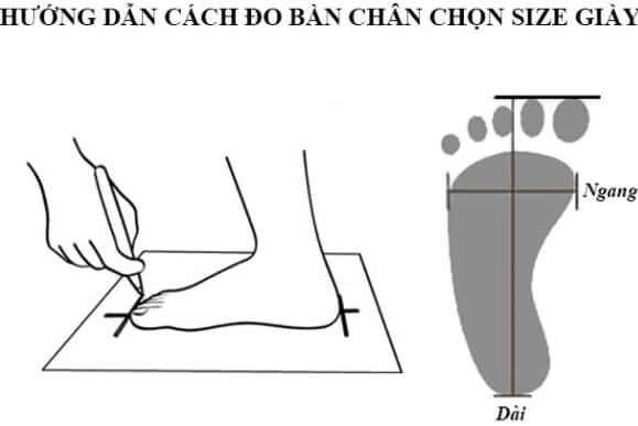 Cách chọn size giày Adidas