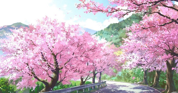 Cập nhật với hơn 59 về hình ảnh hoa anh đào anime hay nhất -  cdgdbentre.edu.vn