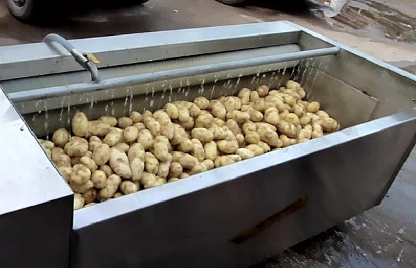 Máy rửa rau củ quả công nghiệp Takudo của nước nào?