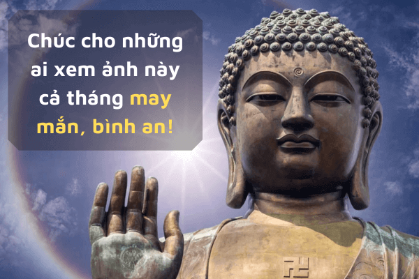 Top 100 hình ảnh phật kèm lời chúc đầu tháng mùng 1 may mắn  Hình ảnh Hình  Phật