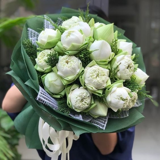 Bó hoa sen đẹp và ý nghĩa tặng hoa sen: Tặng hoa sen trắng là một hành động thể hiện sự tôn trọng và động viên. Bó hoa sen trắng đẹp sẽ giúp bạn truyền tải thông điệp của mình một cách tinh tế và sâu sắc. Nếu bạn muốn biết thêm về ý nghĩa của hoa sen và cách tặng hoa sen đẹp, hãy xem hình ảnh tại đây.