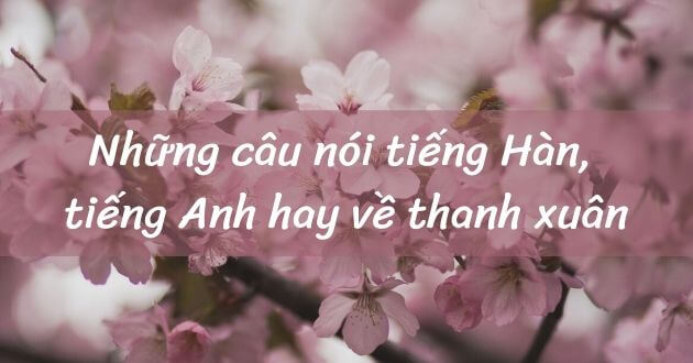 Những câu nói tiếng Hàn, tiếng Anh hay về thanh xuân - META.vn