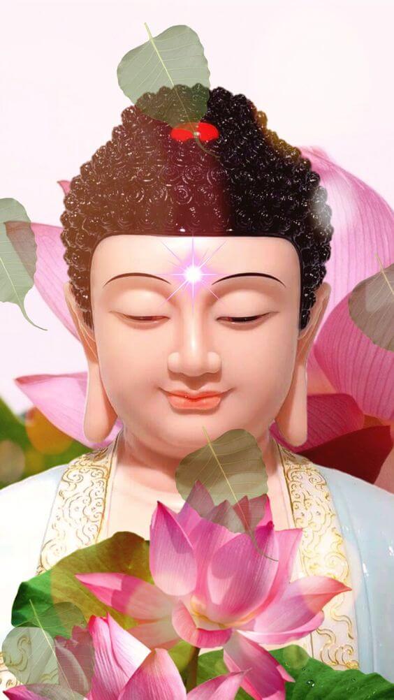 Nếu bạn yêu mến Phật và mong muốn tìm kiếm những bức ảnh đẹp về Đức Phật, hãy đến với bộ sưu tập ảnh Phật đẹp của chúng tôi. Những bức ảnh đẹp và tuyệt vời này sẽ khiến bạn cảm thấy bình an và yên tĩnh.