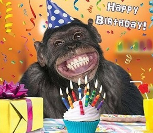 Hình ảnh chúc mừng sinh nhật bá đạo hài hước chế vui troll bựa