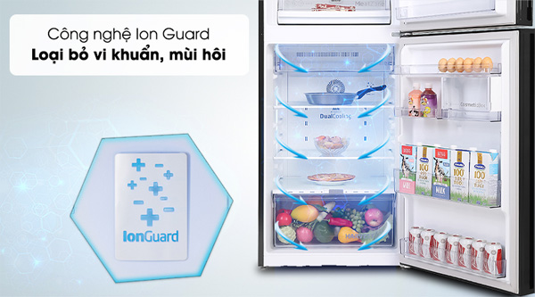 Bộ lọc mùi Ion-Guard