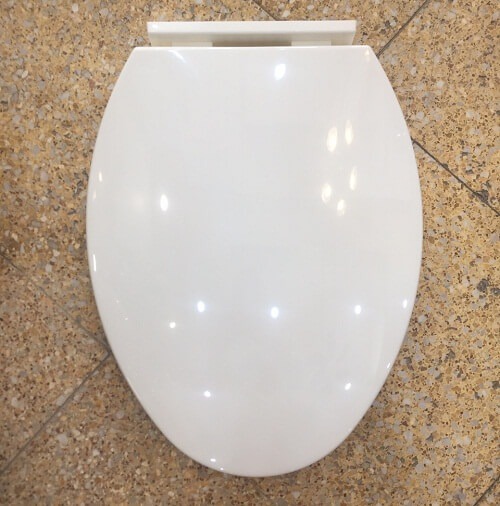 Nắp bồn cầu thường
