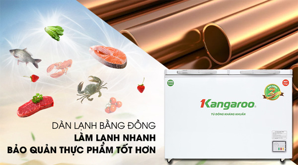 Tủ cấp đông Kangaroo bảo quản thực phẩm tươi ngon, lâu dài