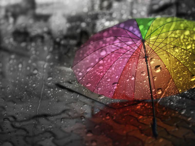Ngày trời mưa sẽ khiến bạn yêu thêm cuộc sống khi cảm nhận được từng giọt mưa như những chất xúc tác thúc đẩy cho cảm xúc. Hình ảnh ngày trời mưa sẽ đánh thức niềm đam mê và sự nhẹ nhàng trong tâm hồn của bạn.