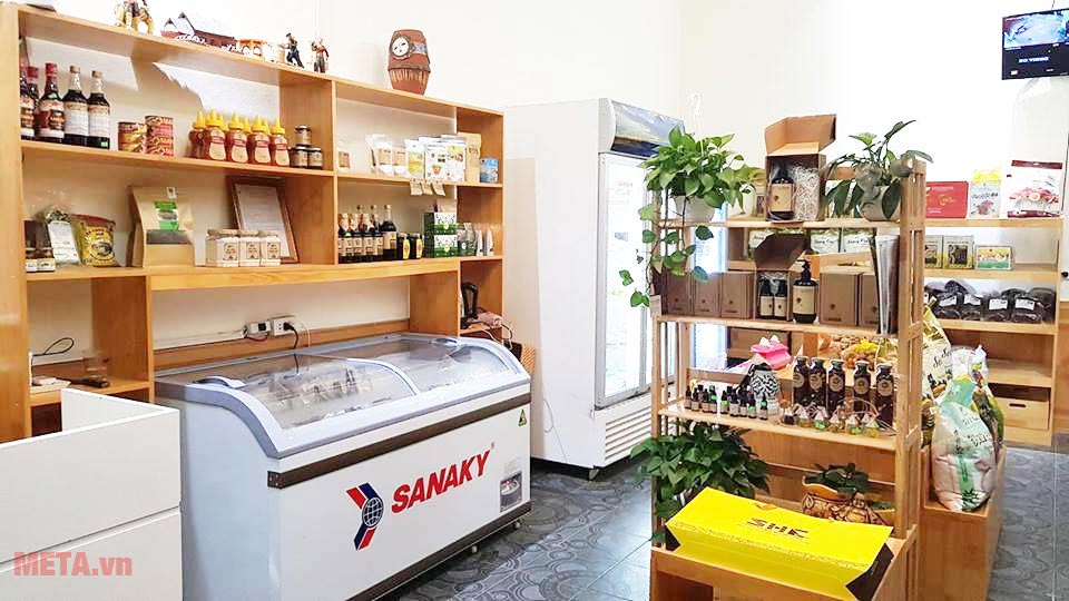 Tủ đông Sanaky