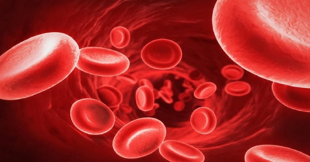 Cách duy trì nồng độ oxy trong máu ở mức an toàn là gì?
