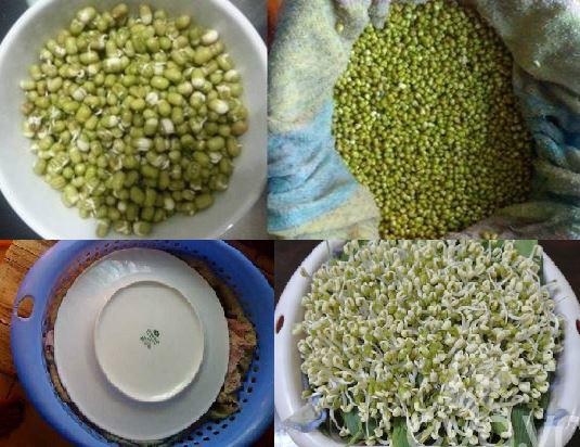 Cách làm giá đỗ bằng rổ nhựa tại nhà