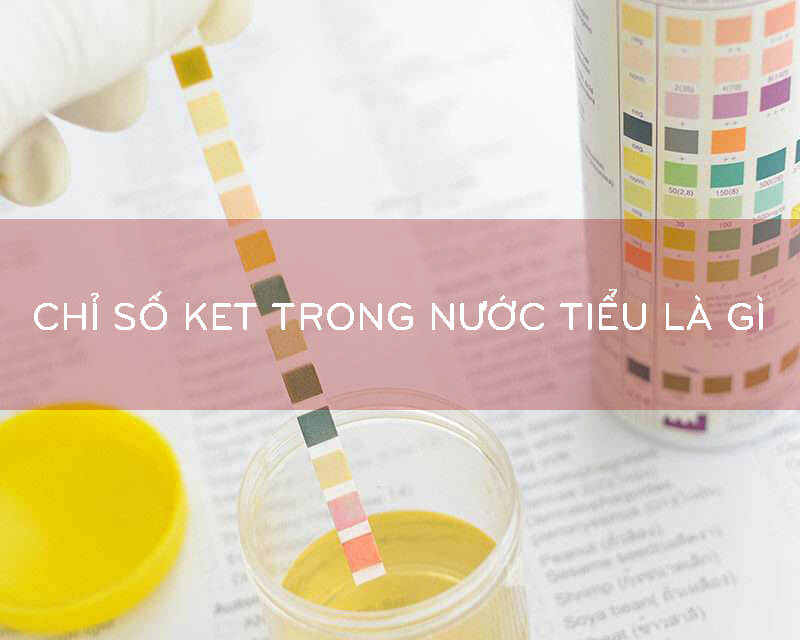 Chỉ số Ketone trong nước tiểu