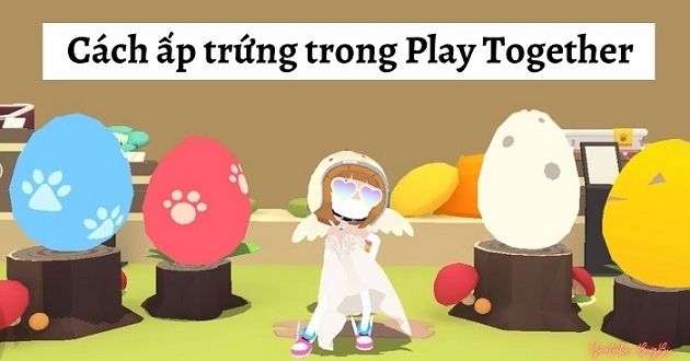 Cách làm sao để trứng nở nhanh trong Play Together - META.vn