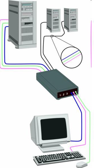 Chức năng của switch là gì?