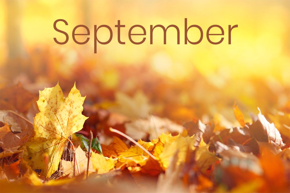 Tháng 9 tiếng Anh là gì? Tháng 9 trong tiếng Anh dịch là gì?