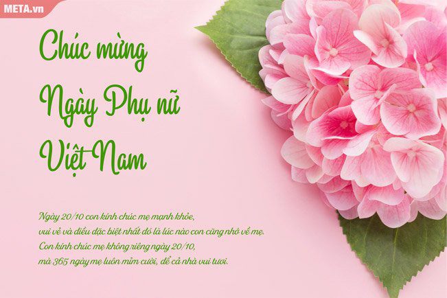 Thiệp chúc mừng 20/10 - Ngày Phụ nữ Việt Nam là một dịp thật ý nghĩa để cả gia đình cùng nhau tỏ lòng biết ơn đến những người phụ nữ trên đất nước Việt Nam. Chẳng hạn như, chúc mừng ngày 20/10 sắp tới, hãy gửi cho những chị em phụ nữ quan trọng trong cuộc sống của mình một bức thiệp chúc mừng ấn tượng, giản dị nhưng ý nghĩa. Đây là một cách để thể hiện sự quan tâm, đồng cảm và tình cảm đối với họ.