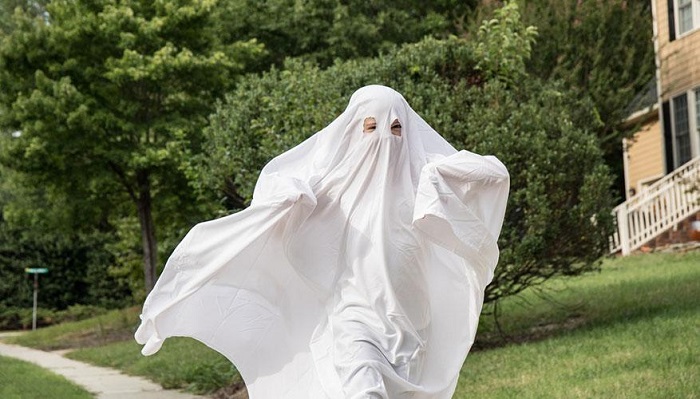 Hình ảnh con dơi Halloween