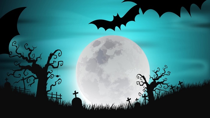 Hình nhện Halloween