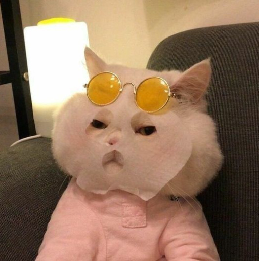 Ảnh Mèo Khóc Siêu Cute Hài Hước Làm Ảnh Avatar Meme