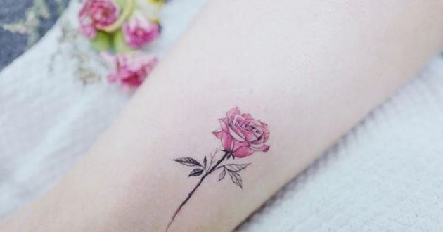 Hình xăm dán tattoo hoa hồng XQB141