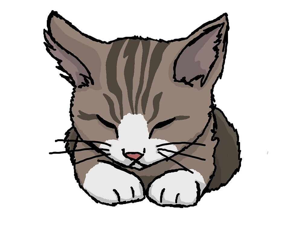 Cách vẽ anime hình con mèo đáng yêu Downloadvn
